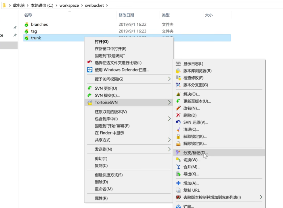 分支2